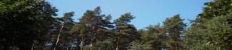 Slide_9